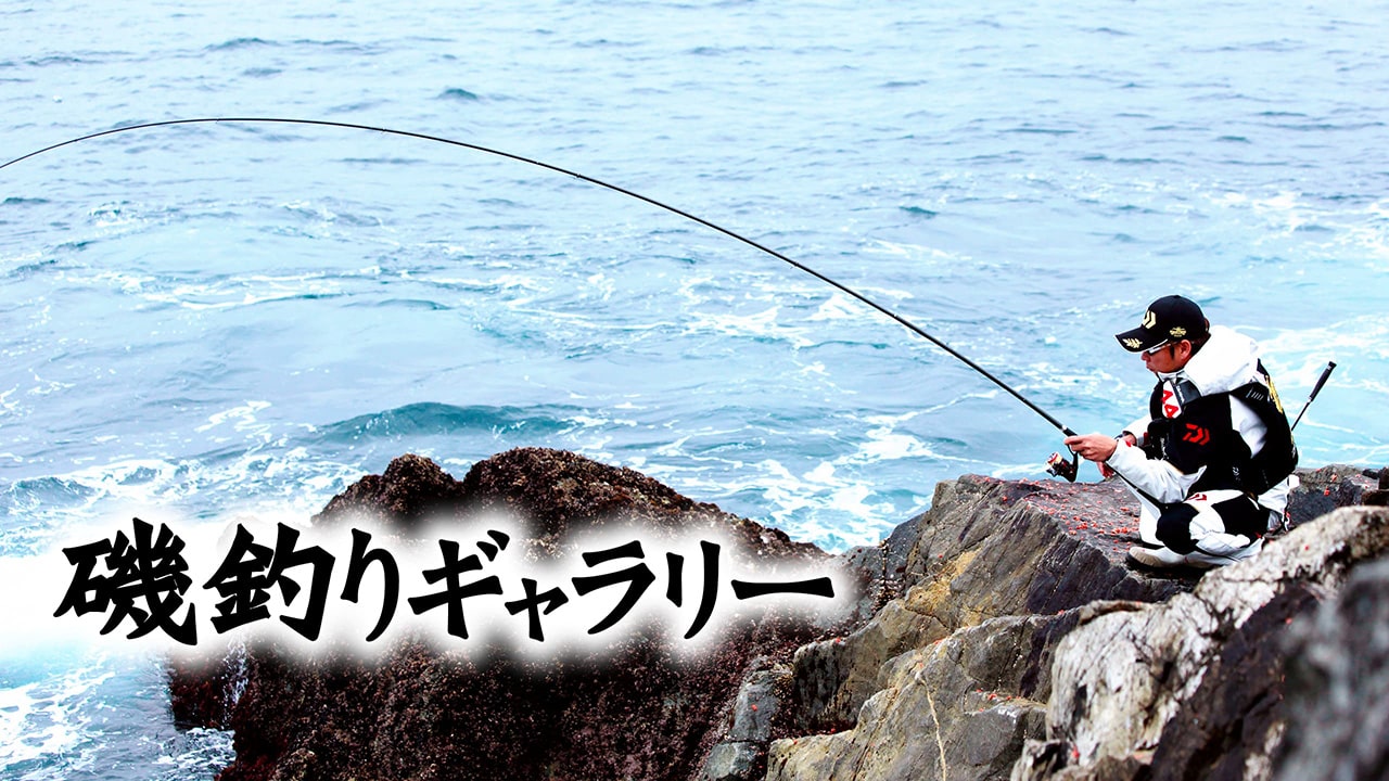 磯釣りギャラリー 釣りビジョンvod