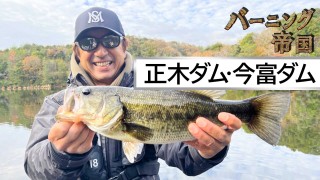ゼルク　ブラックバッファロー　バーニング帝国 釣りビジョン　エバーグリーン Amazon.co.jp: Zelk Black Buffalo Burning Empire Fishing